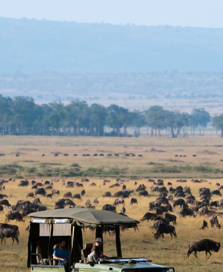 Safari vehicle with guests watching a wildebeest herd across open plains